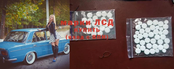 СК Абинск