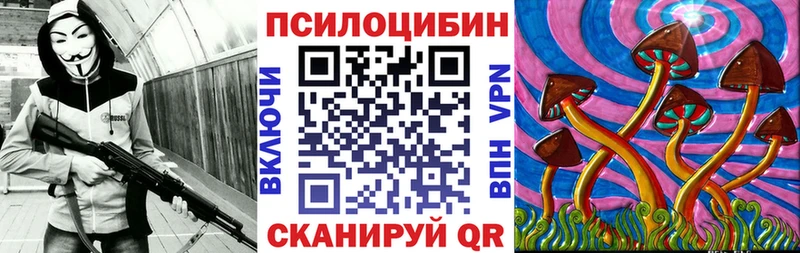 Псилоцибиновые грибы Psilocybine cubensis  Красновишерск 