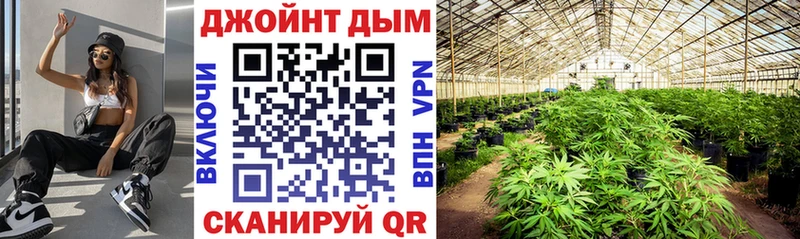 Шишки марихуана сатива  Красновишерск 